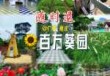 百万葵园有什么好玩的？百万葵园有什么好玩的景点？
