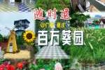 百万葵园有什么好玩的？百万葵园有什么好玩的景点？