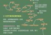 成都怎么去熊猫基地最方便？怎么从成都市区到熊猫基地？