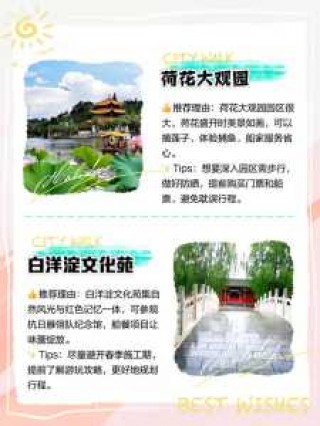 白洋淀一日游六大攻略，白洋淀一日游报团？