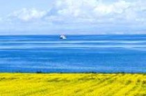 青海湖必去的几个景点？青海湖必去的几个景点图片？
