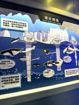 上海海昌海洋公园地址，上海海昌海洋公园地址坐10号线怎么走？