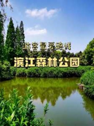 上海滨江森林公园游玩攻略，上海滨江森林公园门票多少钱？