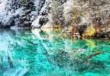 过年去什么地方旅游比较好，过年的时候去哪里旅游比较好又便宜