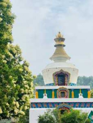 塔尔寺旅游十条禁忌？2021年塔尔寺的禁忌？