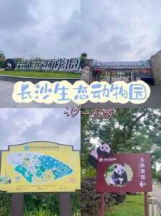长沙生态动物园地图，长沙生态动物园导览图
