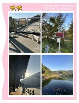 宁波九龙湖风景区，宁波九龙湖风景区有什么好玩的？