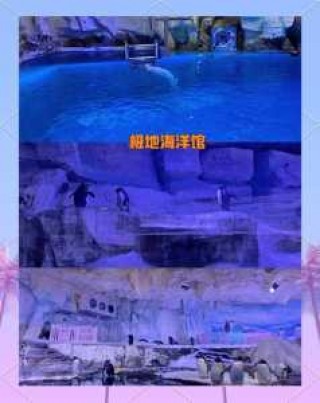 青岛海昌极地海洋公园攻略，青岛海昌极地海洋公园游记？