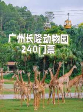 广州动物园门票多少钱一张，广州动物园要多少门票？