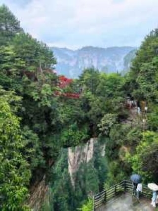 张家界旅游景点全景图？张家界旅游景点全景图天门山？
