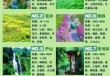 江西景点排名榜前十名，江西最火前十景区