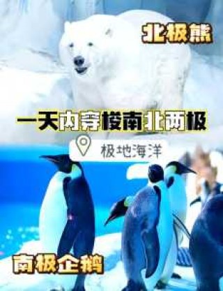 青岛海昌极地海洋公园攻略，青岛海昌极地海洋公园游记？