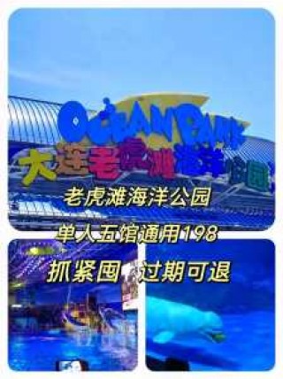 大连老虎滩团购门票，大连老虎滩门票怎么买便宜