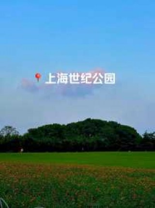 世纪公园门票多少钱一张，世纪公园门票每张60元,降价后游客增加一倍
