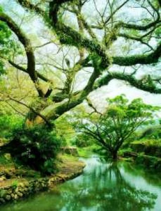 长泰旅游必去前十景点，长泰必去7个免费景点