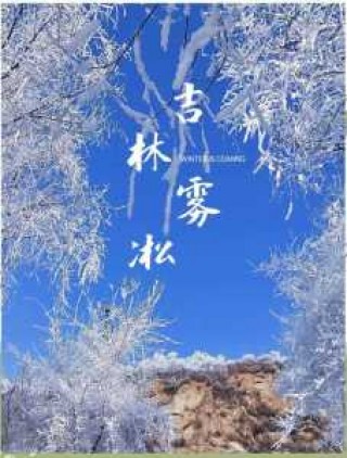 雾凇岛旅游攻略，雾凇岛旅游攻略一日游？