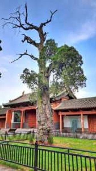 济源旅游景点哪里好玩，济源旅游景点攻略？