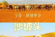 宁夏沙坡头景区，宁夏沙坡头景区酒店？