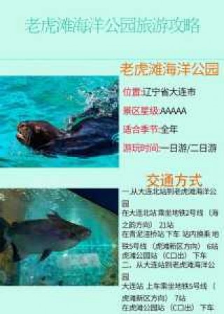 大连老虎滩团购门票，大连老虎滩门票怎么买便宜