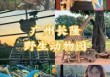 广州长隆野生动物园官方网站，广州长隆野生动物园官方网站电话号码？