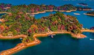 万绿湖景点详细介绍？万绿湖景点门票？