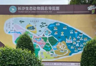 长沙生态动物园地图，长沙生态动物园导览图