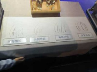 天津海昌极地海洋世界，天津海昌极地海洋世界攻略