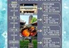 西安旅游攻略5天自由行，西安旅游攻略5天自由行多少钱
