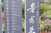 山海关老龙头门票多少钱一张，山海关老龙头门票优惠政策？