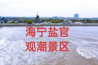 海宁盐官观潮景区门票，海宁盐官观潮景区门票优惠政策