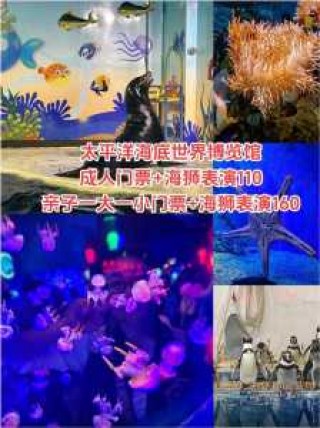 北京海底世界门票预订，北京海底世界门票预订电话？