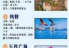 去青岛旅游自由行攻略，去青岛旅游自由行攻略带娃
