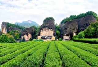 武夷山最值得去的景点？武夷山最值得去的景点有哪些？