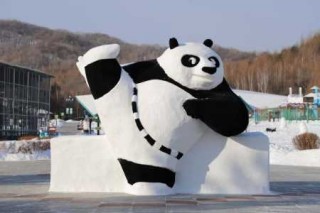 亚布力滑雪场事件，亚布力滑雪场官方网站？
