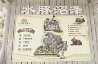 北京野生动物园门票多少一张，北京野生动物园门票标准？