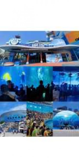 青岛海昌极地海洋公园攻略，青岛海昌极地海洋公园游记？