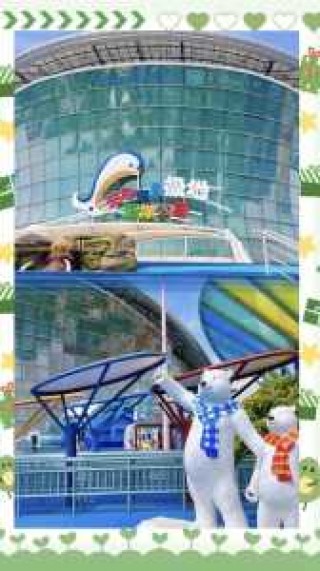 天津极地海洋馆家庭套票，天津极地海洋馆优惠政策