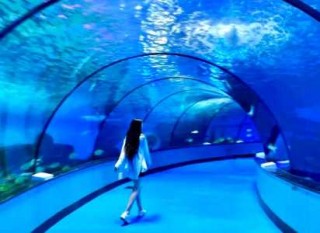 济南泉城极地海洋世界？济南泉城极地海洋世界门票？