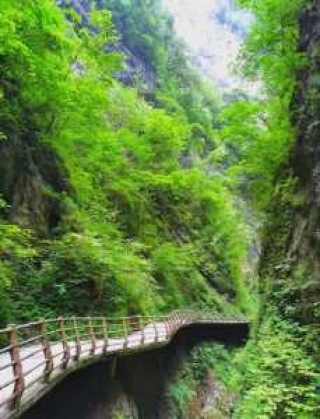 金丝峡大峡谷门票费用？一般账户能开保函吗？