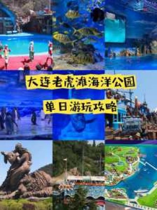 大连老虎滩团购门票，大连老虎滩门票怎么买便宜