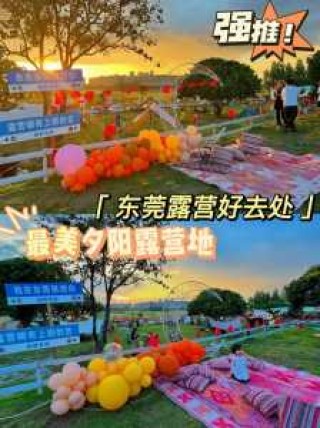 东莞旅行社电话地址，东莞旅行社什么时候恢复营业