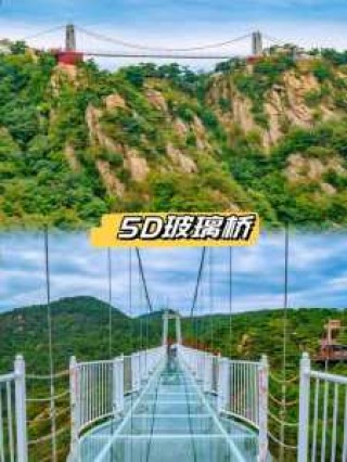 沂蒙山旅游景点，沂蒙山旅游景点龟蒙景区？