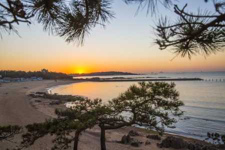 青岛旅游攻略必去景点？青海湖旅游攻略必去景点大全？  第4张