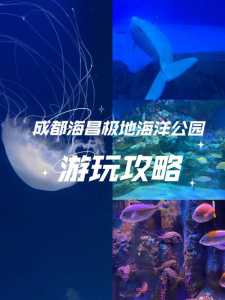 成都海洋公园门票费用,成都海洋公园门票费用是多少? 第2张 成都海洋公园门票费用,成都海洋公园门票费用是多少? 第2张