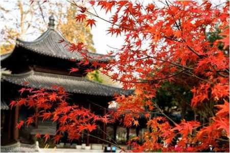 南京旅游景点大全景点排名,南京旅游前十景点 第3张 南京旅游景点大全景点排名,南京旅游前十景点 第3张