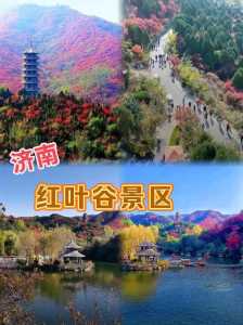 济南红叶谷门票优惠政策,济南红叶谷门票是多少 第1张 济南红叶谷门票优惠政策,济南红叶谷门票是多少 第1张