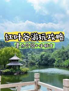 济南红叶谷门票优惠政策,济南红叶谷门票是多少 第3张 济南红叶谷门票优惠政策,济南红叶谷门票是多少 第3张