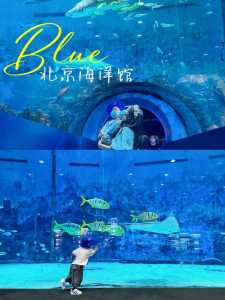 附近哪里有海底世界，附近哪里有海底世界免费的  第1张