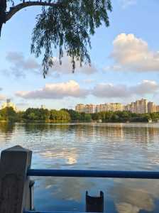 上海长风公园景点介绍，上海长风公园地址及门票?？  第1张
