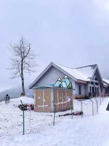 西岭雪山门票多少钱一张，西岭雪山门票多少钱一张小孩多少？  第3张